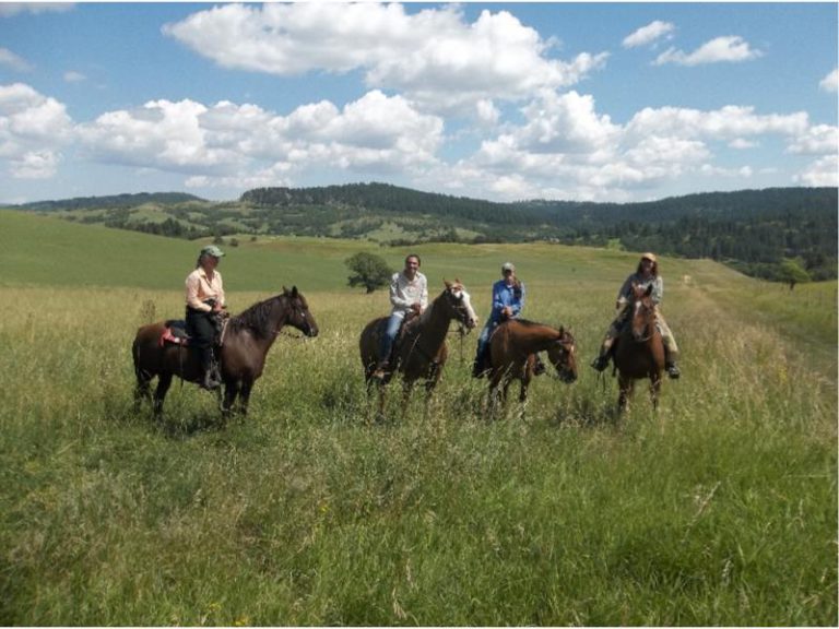 Wyoming Dude Ranch Vacation Destinations Duderanch