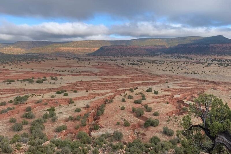 Canyon Madness Ranch - NM