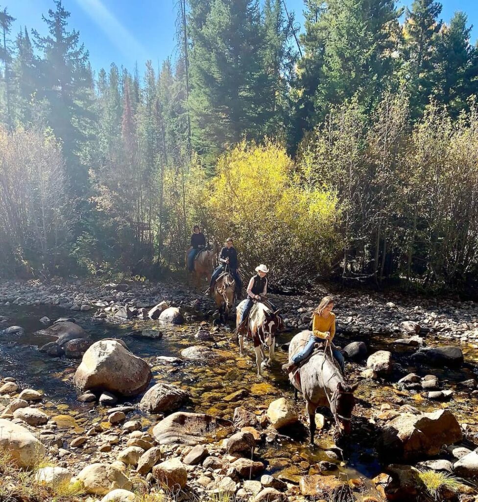 Medicine Bow Lodge WY Trail Ride