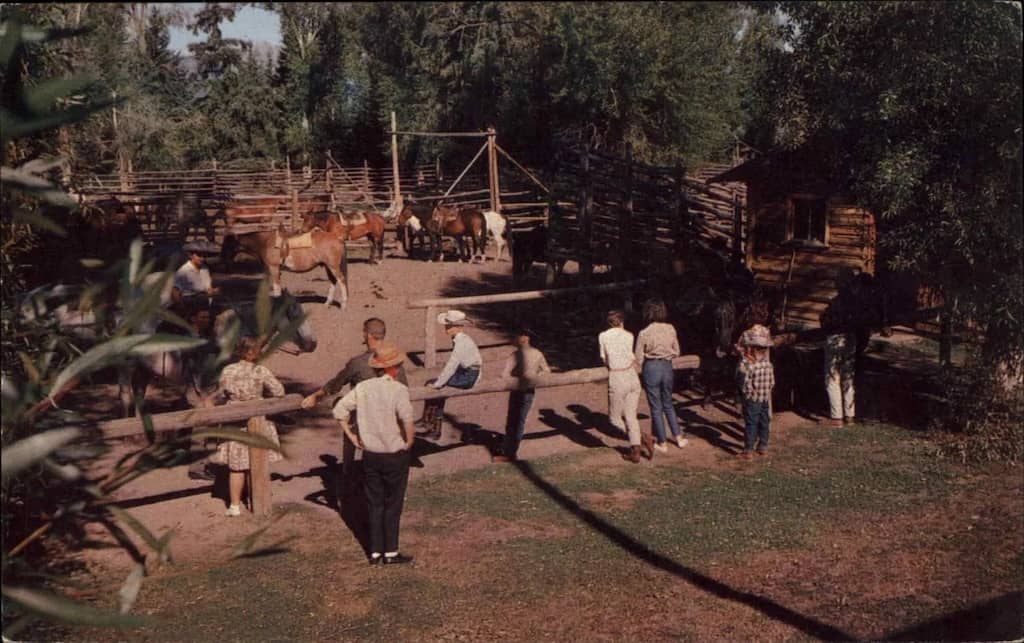 Moose Head Ranch postcard