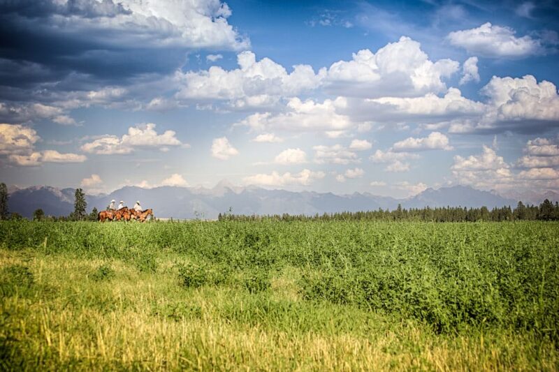 Three Bars Ranch - BC Canada - Horseback views