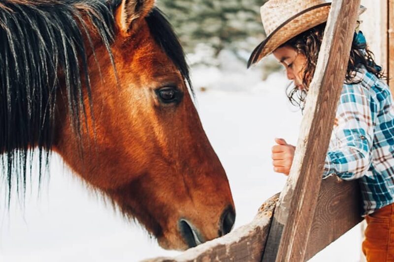 Vista Verde Ranch - Colorado