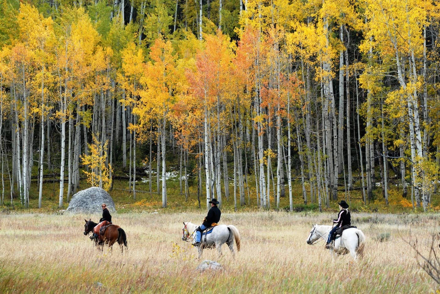 Vista Verde Ranch changing leaves Colorado